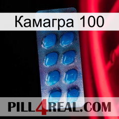 Камагра 100 viagra1